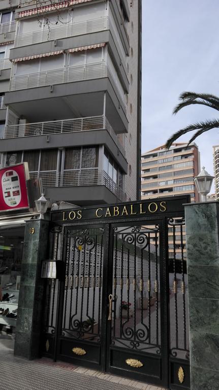 Apartamentos Los Caballos Benidorm Dış mekan fotoğraf